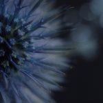 快猫网站 sdcqkfud2c