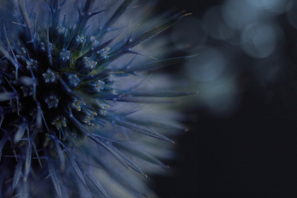 快猫网站 快猫网站